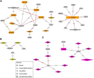 Integrative Analysis Between Genome-Wide Association Study and Expression Quantitative Trait Loci Reveals Bovine Muscle Gene Expression Regulatory Polymorphisms Associated With Intramuscular Fat and Backfat Thickness